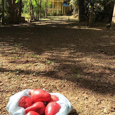 Apartament Flat Boa Vista Paraty Zewnętrze zdjęcie